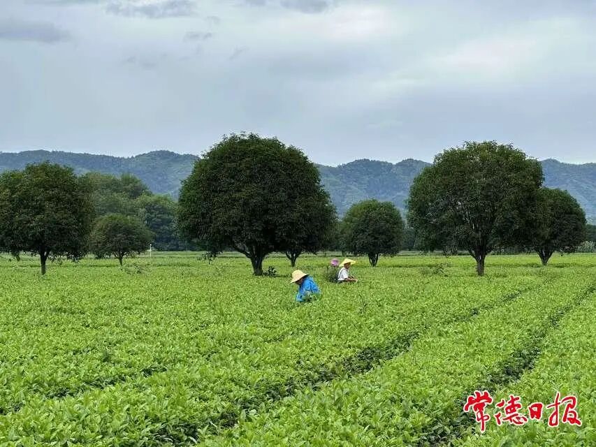 202512032.jpg 202512032.jpg